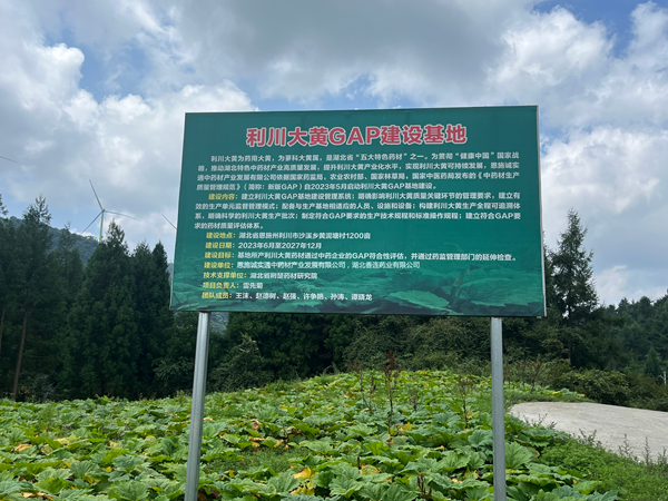 大黄GAP技术基地.png